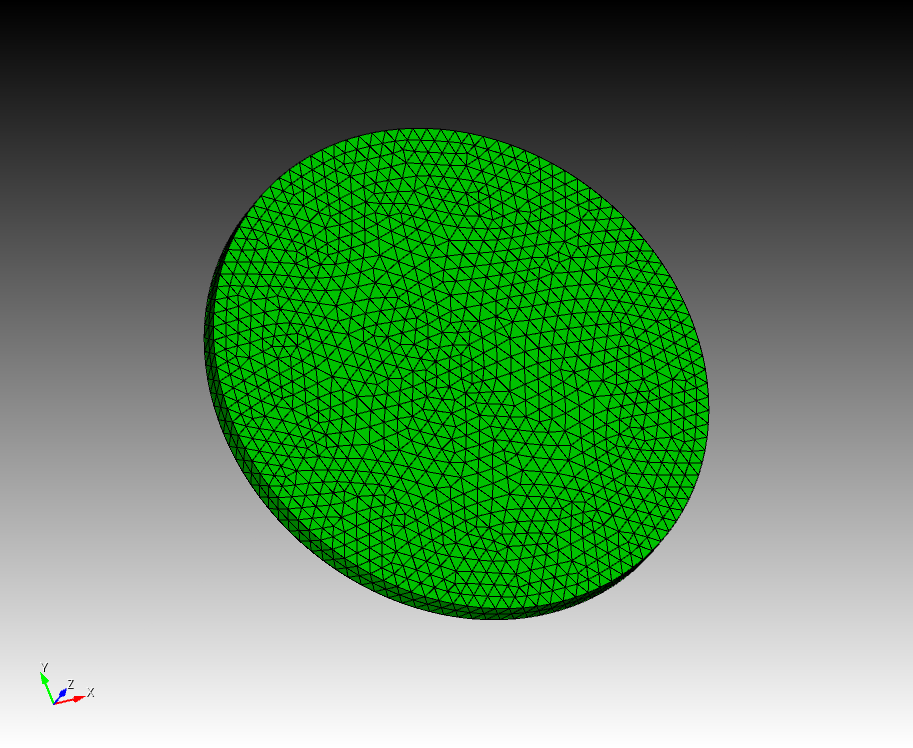 The mesh used for the surface diffusion simulation